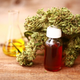 Illustration for article titled Pure CBD Oral Spray Guideem/em